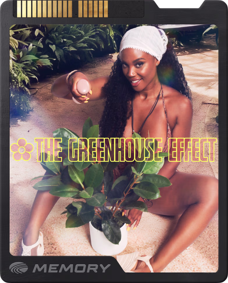 The Greenhouse Effect